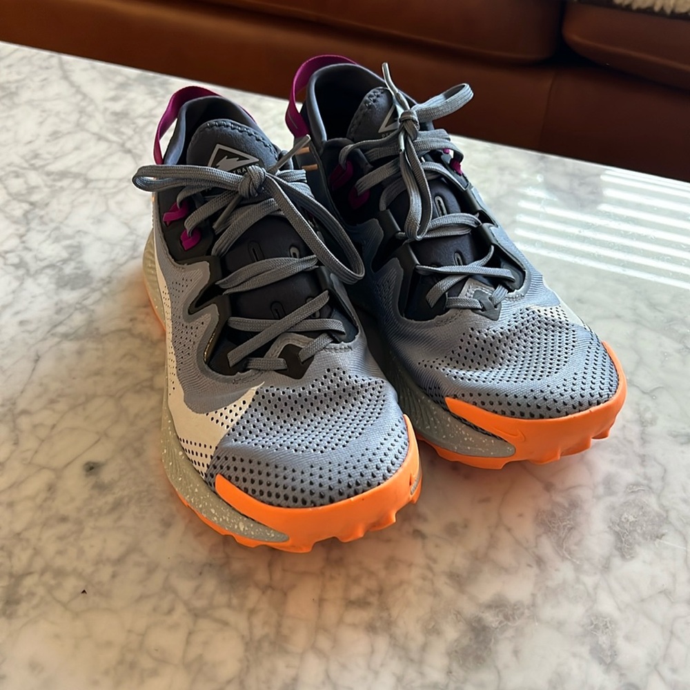 Nike Pegasus Trail 2